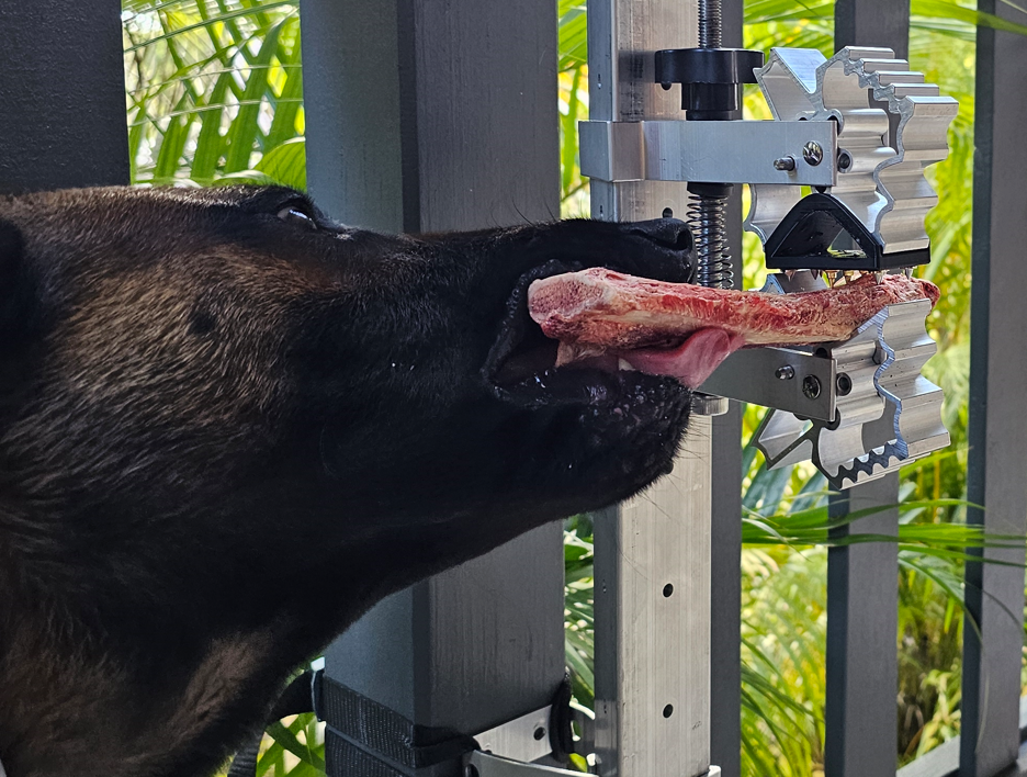 The Problem With Giving Dogs Bones (And How We Fixed It)