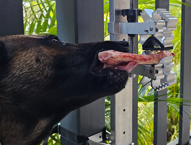 The Problem With Giving Dogs Bones (And How We Fixed It)