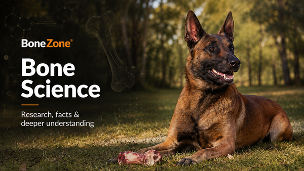 BONEZONE® Bone Science Blog Series - Ground Exposure and Controlled Chewing - Pt 6 of 6