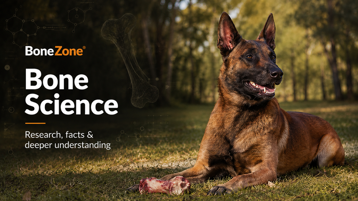 BONEZONE® Bone Science Blog Series - Ground Exposure and Controlled Chewing - Pt 4 of 6