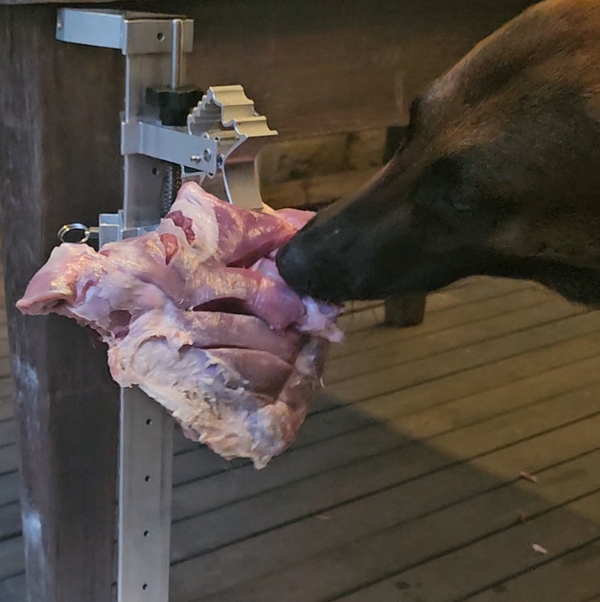 The Forgotten Half of Feeding
