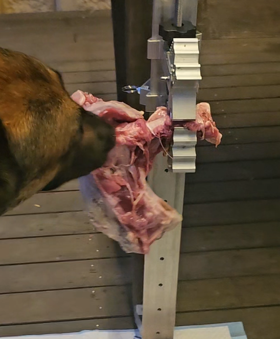 We're Not Asking What Your Dog Eats. We're Asking What Your Dog Gets to Do.