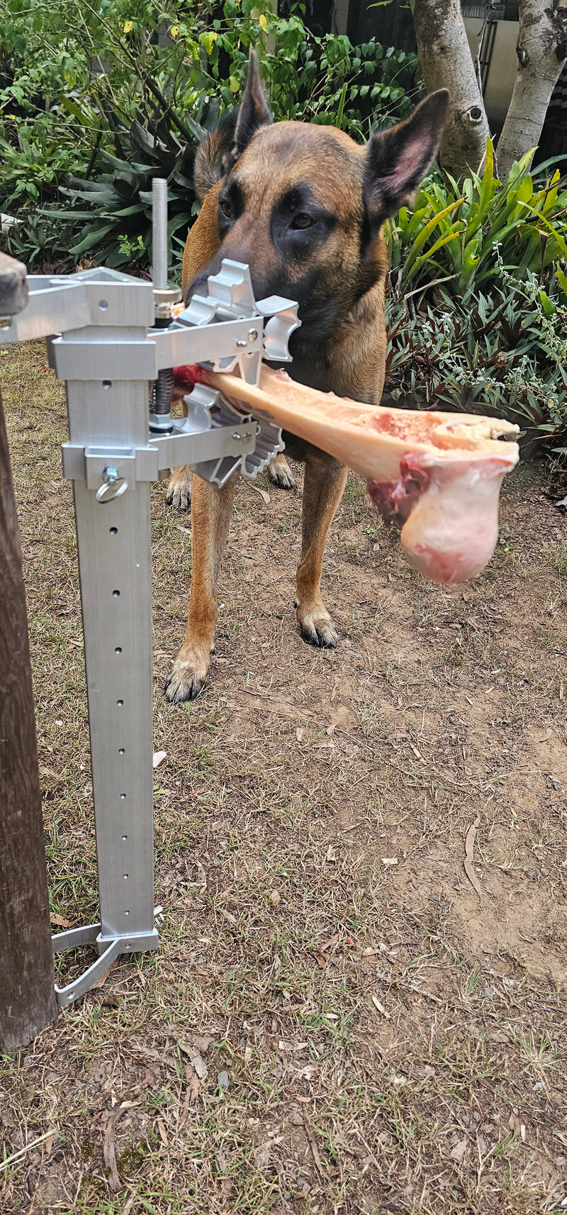 BoneZone® Structural Feeding™ & Chewing Station for Dogs