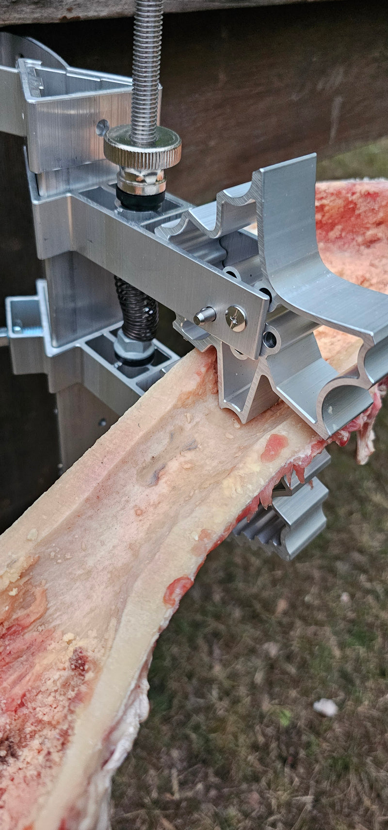 BoneZone® Structural Feeding™ & Chewing Station for Dogs