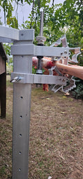 BoneZone® Structural Feeding™ & Chewing Station for Dogs