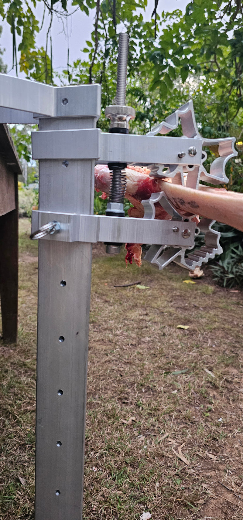 BoneZone® Structural Feeding™ & Chewing Station for Dogs