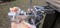 BoneZone® Structural Feeding™ & Chewing Station for Dogs