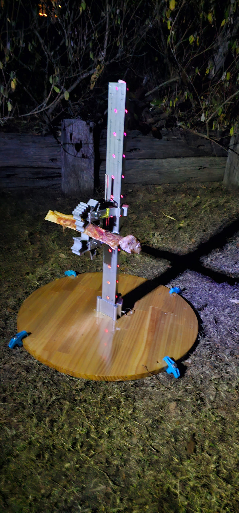 BoneZone® Structural Feeding™ & Chewing Station for Dogs