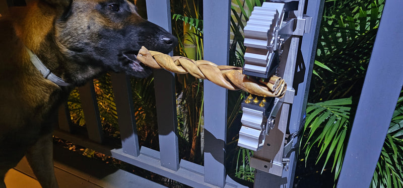 BoneZone® Structural Feeding™ & Chewing Station for Dogs
