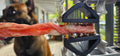 BoneZone® Structural Feeding™ & Chewing Station for Dogs