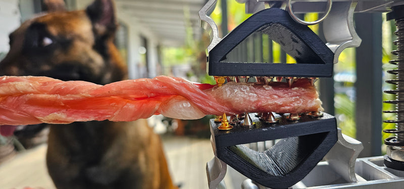 BoneZone® Structural Feeding™ & Chewing Station for Dogs