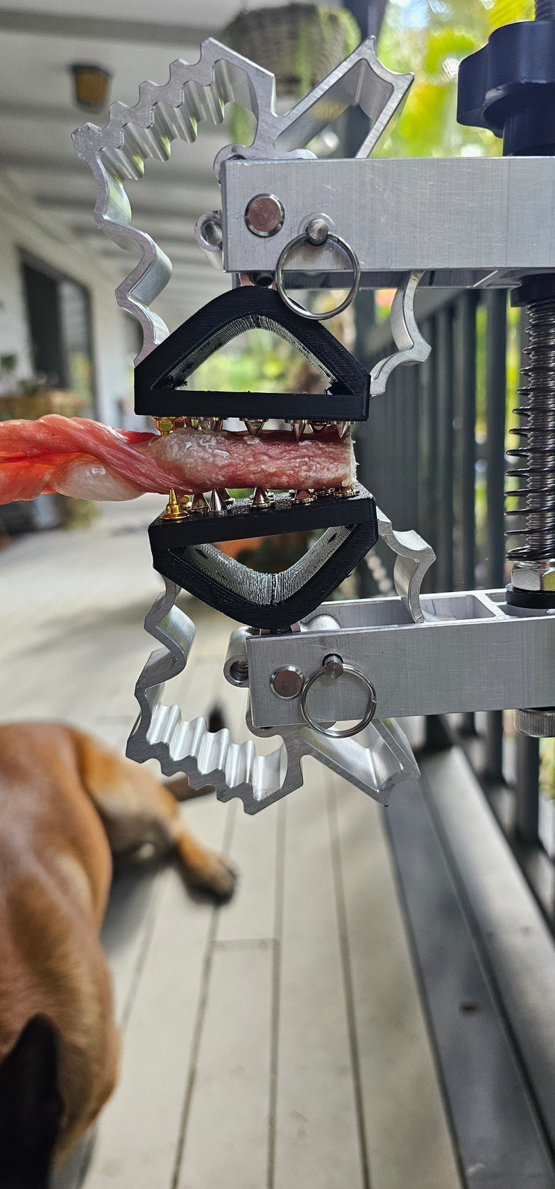 BoneZone® Structural Feeding™ & Chewing Station for Dogs