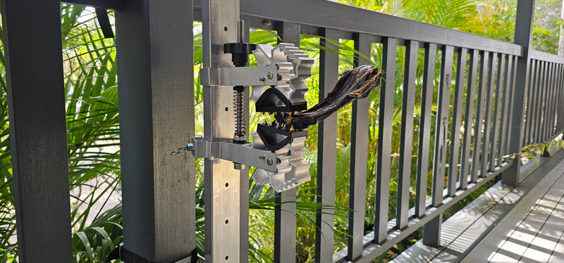 BoneZone® Structural Feeding™ & Chewing Station for Dogs