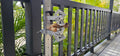 BoneZone® Structural Feeding™ & Chewing Station for Dogs