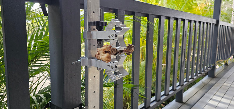 BoneZone® Structural Feeding™ & Chewing Station for Dogs