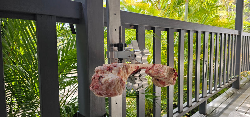 BoneZone® Structural Feeding™ & Chewing Station for Dogs