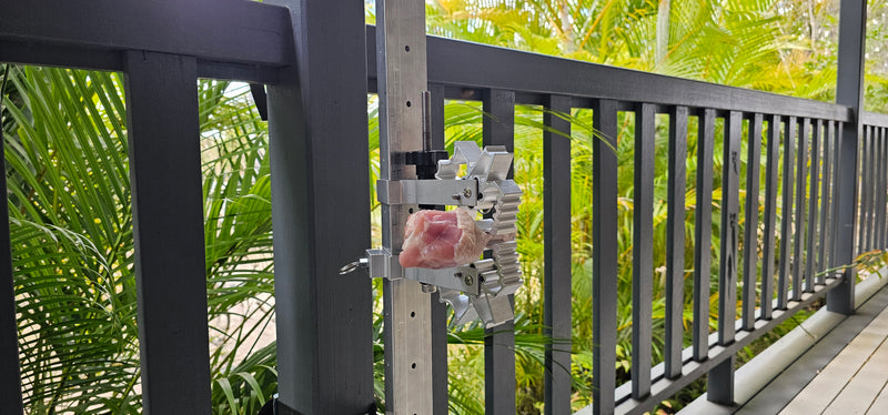 BoneZone® Structural Feeding™ & Chewing Station for Dogs