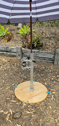 BoneZone® Structural Feeding™ & Chewing Station for Dogs