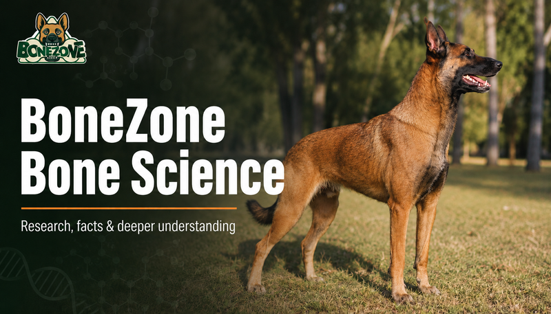 BoneZone Bone Science