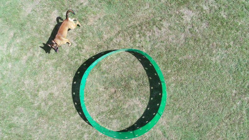 The Orbit System™