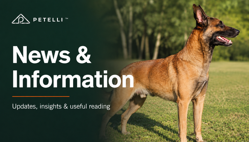 News & Information