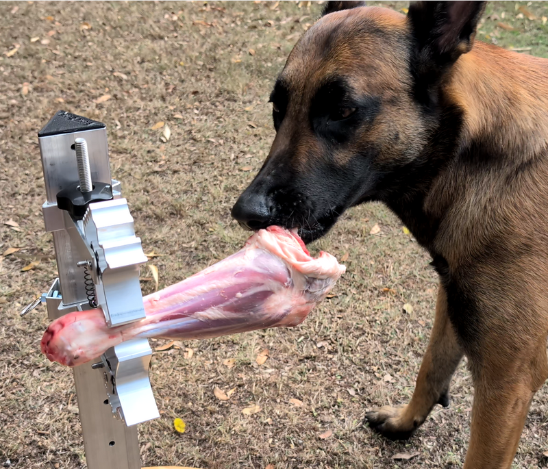 BoneZone® Structural Feeding™ & Chewing Station for Dogs