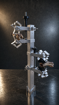 BoneZone® Structural Feeding™ & Chewing Station for Dogs